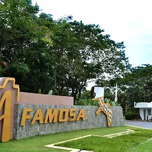 アファモサ マラッカ Malacca
